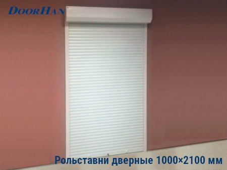 Рольставни на двери 1000×2100 мм в Казани от 32764 руб.