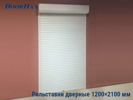 Рольставни на двери 1200×2100 мм в Казани от 36090 руб.