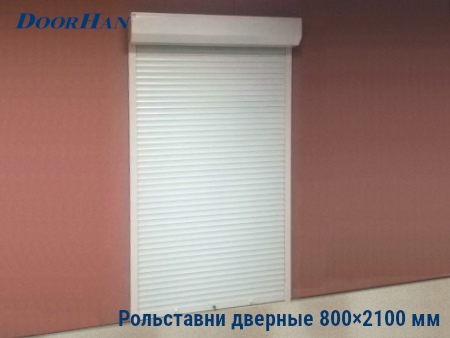 Рольставни на двери 800×2100 мм в Казани от 29437 руб.